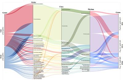 Metabolic pathway prediction of core microbiome based on enterotype and orotype